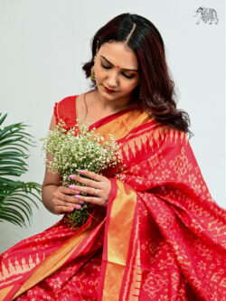 Red Rajkot Patola Saree