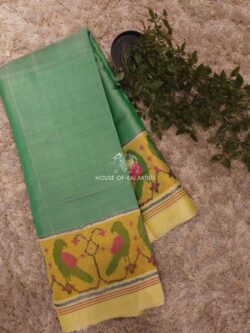 Mint Green Rajkot Patola Pure Silk Saree