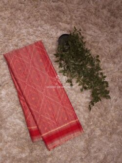 Red Colour Raw Rajkot Patola Pure Silk Saree