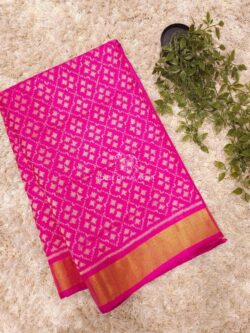 Rani Pink Rajkot Patola Pure Silk Saree