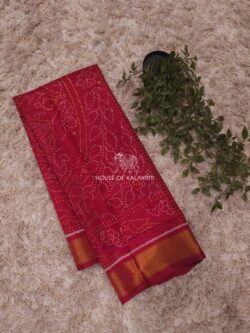 Green Red Rajkot Patola Pure Silk Saree