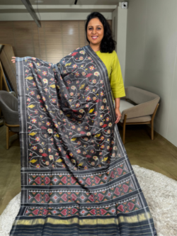 single ikkat patan patola saree