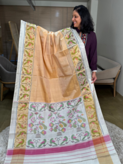 biscuit-white-rajkot-patola-pure-silk-saree