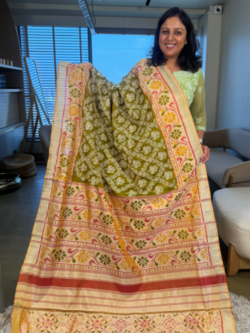 green-rajkot-patola-resham-embroidery-pure-silk-saree