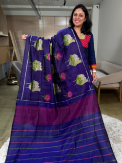 bringle-rajkot-patola-pure-silk-saree