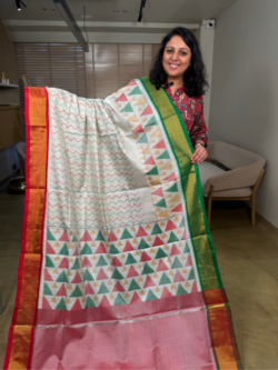 white rajkot patola pure silk saree