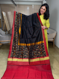 black rajkot patola pure silk saree