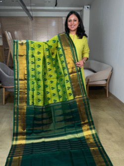 Green rajkot patola pure silk saree