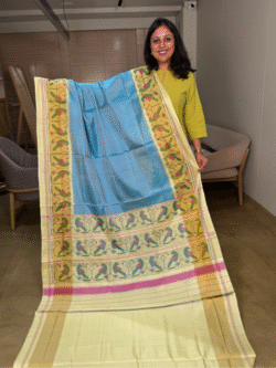 blue rajkot patola pure silk saree