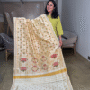 off-white rajkot patola pure silk saree