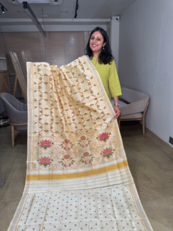 off-white rajkot patola pure silk saree