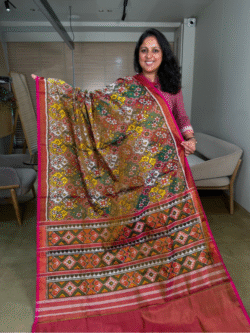 multicolored patan single ikkat patola tissue pure silk saree