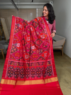 Multicolored Single Ikkat Pure Silk Patola Saree