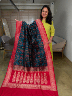 Patola × Banarasi Pure Silk Saree