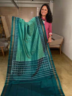 green rajkot patola pure silk saree