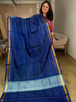 blue rajkot patola pure silk saree