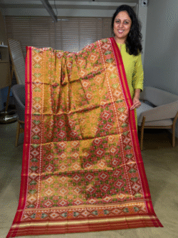 Tissue Patola Pure Silk Dupatta