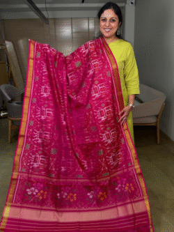 Rani Pink Rajkot Patola Pure Silk Saree